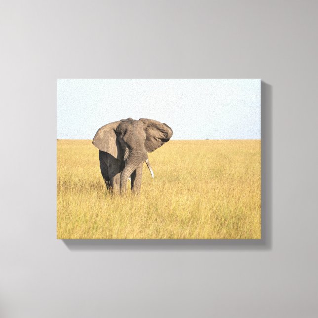 Elefant i naturinställningen Wrapped Canvas Skriv  (Framsida)