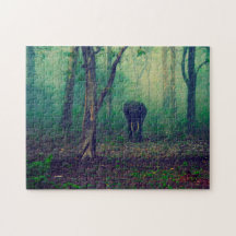 Elefant i skogen.