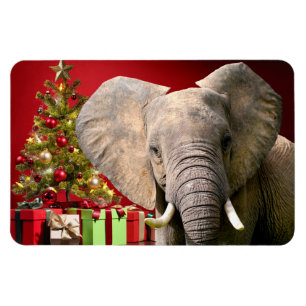 Elefant jul Greetings Magnet