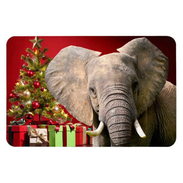 Elefant jul Greetings Magnet (Horisontell)