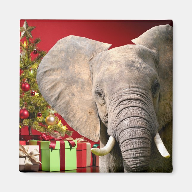 Elefant jul Greetings Magnet (Framsidan)