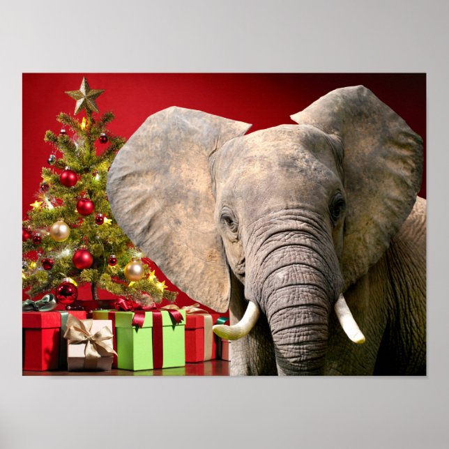 Elefant jul Greetings Poster (Framsidan)