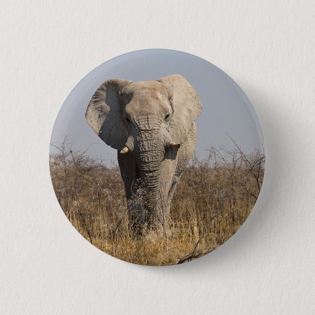 Elefant Knapp (Framsida)