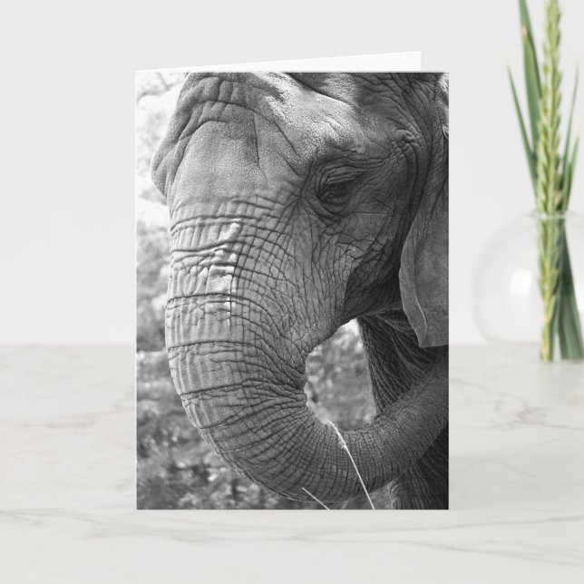Elefant Kort (Framsida)