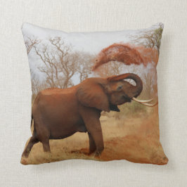 Elefant Kudde