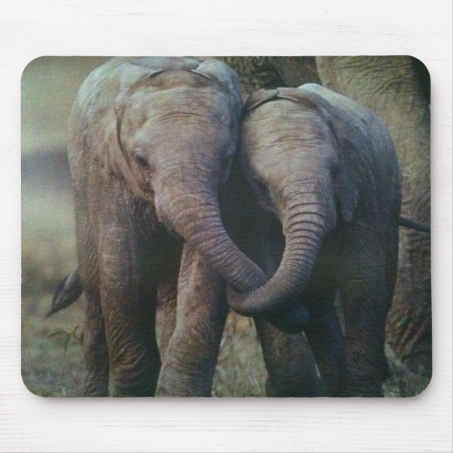 ELEFANT LOVANDE KOUPELMOUSEPAD MUSMATTA (Framsidan)