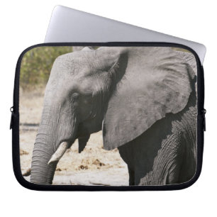 Elefant (Loxodonta africana), Savute Channel Laptop Sleeve