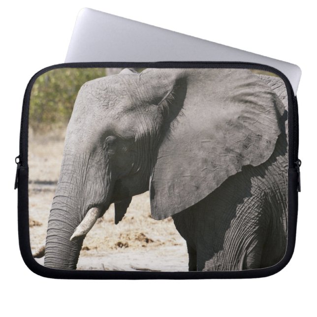 Elefant (Loxodonta africana), Savute Channel Laptop Sleeve (Framsidan)