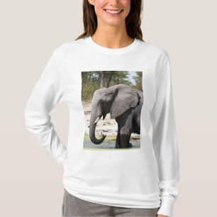 Elefant (Loxodonta africana), Savute Channel T Shirt