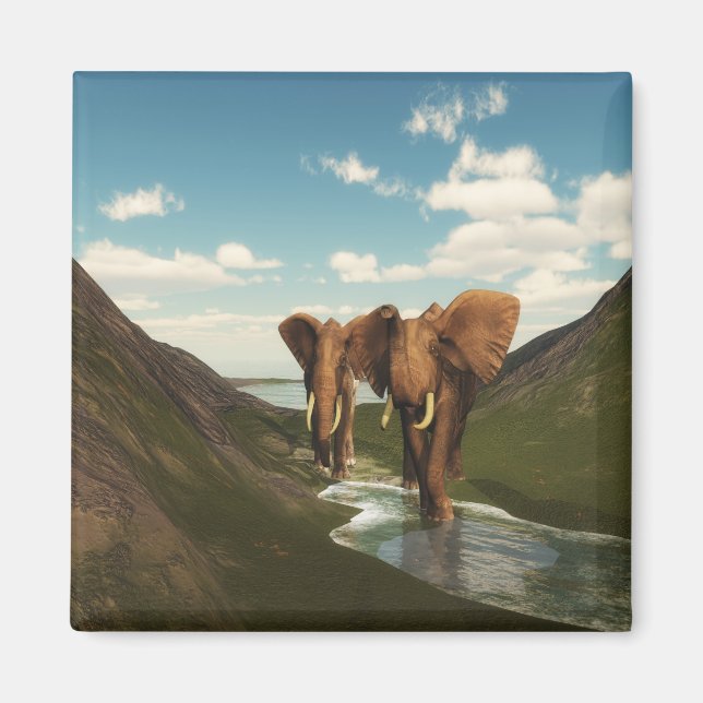 Elefant Magnet (Framsidan)