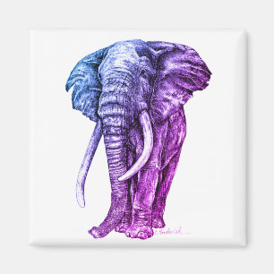 Elefant Magnet