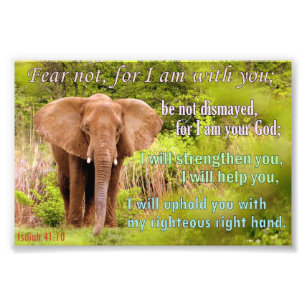 Elefant med den Isaiah 41:10 Fototryck