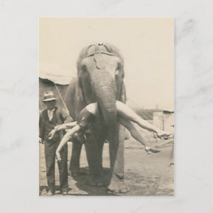 elefant med flicka i vykort för mun