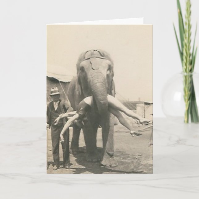 elefant med flickan i munhälsningkort kort (Framsida)