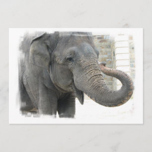 Elefant med krullad staminbjudan inbjudningar