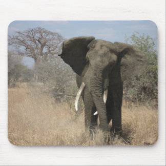 Elefant Mousepad Musmatta