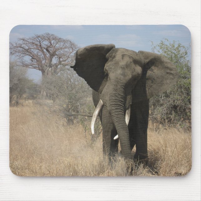 Elefant Mousepad Musmatta (Framsidan)