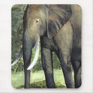 Elefant Musmatta