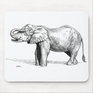 Elefant Musmatta