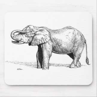 Elefant Musmatta