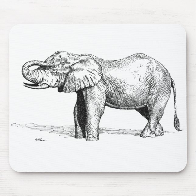 Elefant Musmatta (Framsidan)