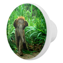 Elefant och gräs knopp