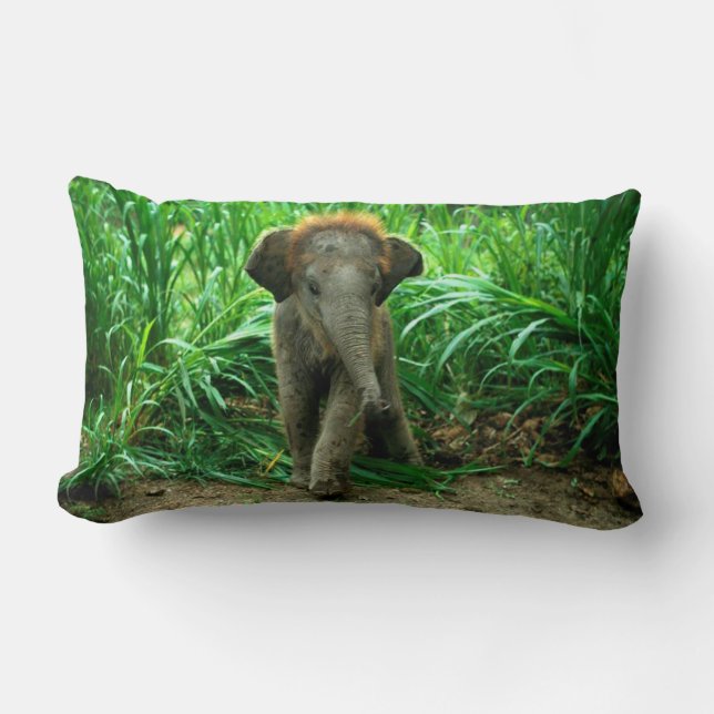 Elefant och gräs lumbarkudde (Framsida)