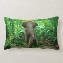 Elefant och gräs