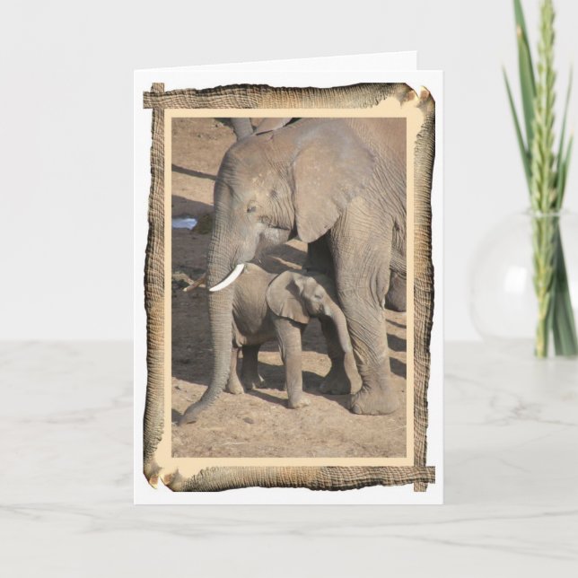 Elefant- och kalvkort (elefantstamramen) kort (Framsida)