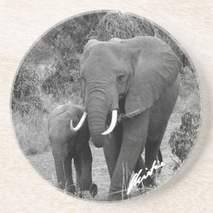 Elefant- och kalvkustfartyg underlägg