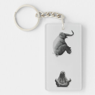 Elefant och mediterande sengångare harmoni