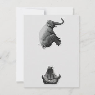 Elefant och mediterande sengångare harmoni vykort