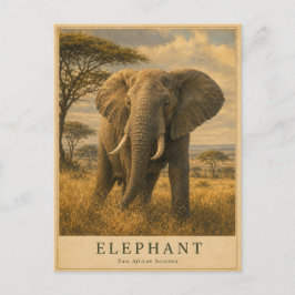 Elefant Östafrikansk savann VINTAGE Vykort