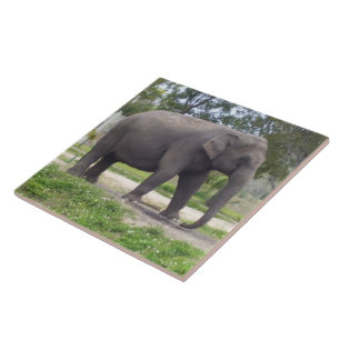 Elefant på fridfull stig på ängen kakelplatta