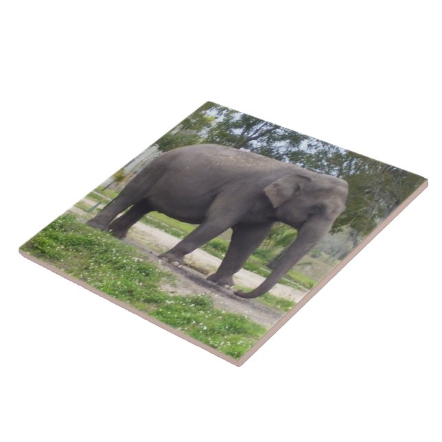 Elefant på fridfull stig på ängen kakelplatta (Sidan)