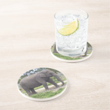 Elefant på lantlig ängsstig