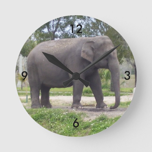 Elefant på lugn vandringsled Tid Rund Klocka (Framsida)