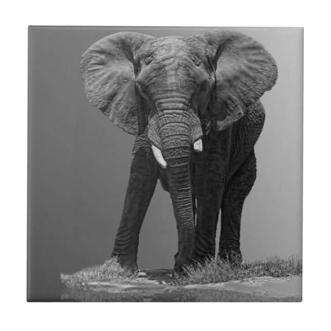 ELEFANT PÅ LUTNING KAKELPLATTA (Framsidan)