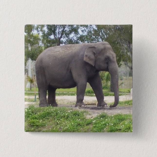 Elefant på skogsvandring knapp (Framsida)
