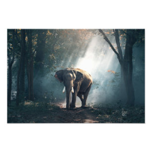 Elefant Photo Print Fototryck