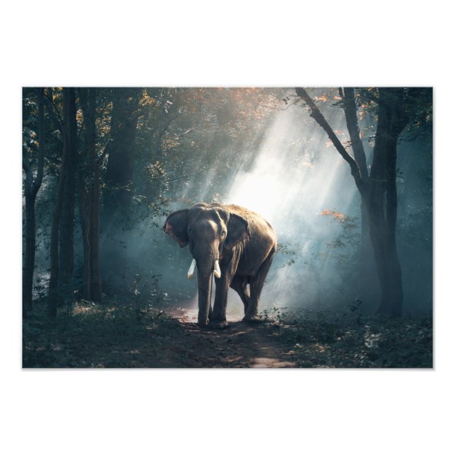 Elefant Photo Print Fototryck (Framsidan)