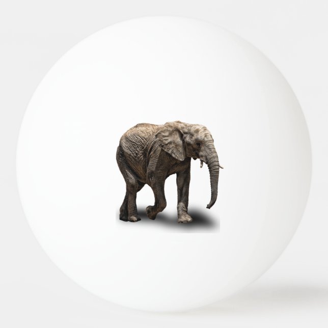 ELEFANT PINGISBOLL (Framsidan)