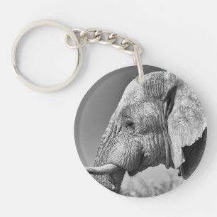 Elefant porträtt
