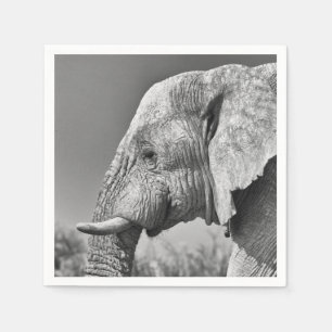 Elefant porträtt pappersservett