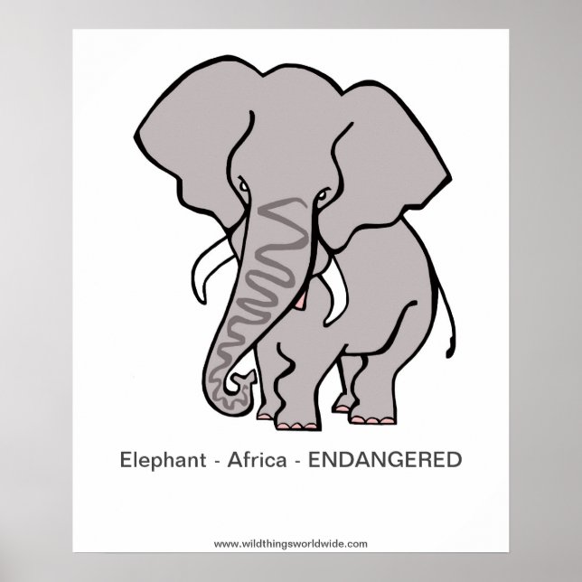 Elefant - poster (Framsidan)