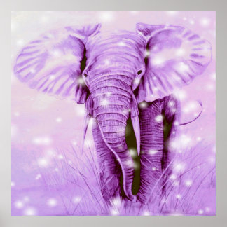 elefant poster