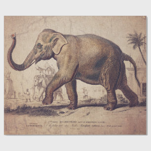 Elefant radbrytning eller avfrostning Papprare Presentpapper
