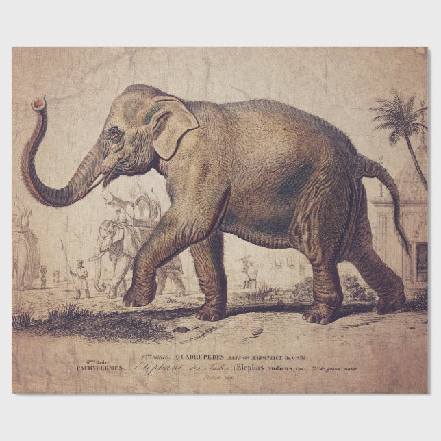 Elefant radbrytning eller avfrostning Papprare Presentpapper (Platt)