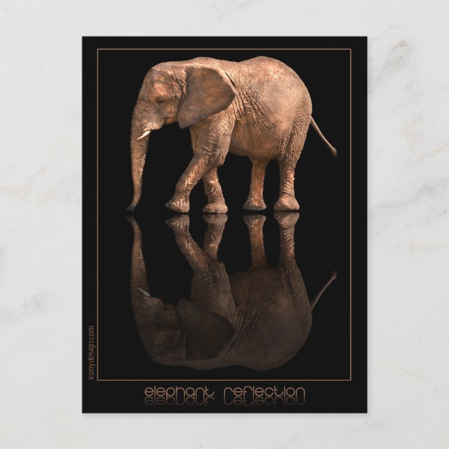 Elefant Reflection Postcard Vykort (Framsida)