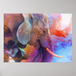 ELEFANT RELEMINERING AV HELIG VATTEN POSTER